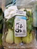 小汤山 油菜 250g 基地直供新鲜蔬菜GAP认证 实拍图