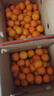京鲜生 砂糖橘/沙糖桔 净重8斤精品果 生鲜水果年货礼盒 实拍图
