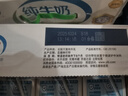 伊利纯牛奶 250ml*16盒 全脂牛奶 礼盒装 10月产 实拍图