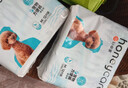 HONEYCARE好命家狗狗纸尿裤公狗尿不湿尿片安全裤 S适用体重5-15kg/12片装 实拍图