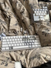狼蛛（AULA）Win/Mini 60 HE磁轴键盘机械电竞游戏客制化机械有线连接网页驱动 60键无畏契约 8K回报率 WiN 60HE 白侧刻+蝴蝶3.0【灰木磁轴】 实拍图
