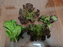 阿诺玛（AROMA）吉他变调夹力度可调节民谣吉他金属移调夹可拔弦钉AC-30木纹色 实拍图