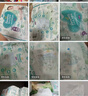 帮宝适超薄透气清新帮拉拉裤新生儿婴儿尿不湿尿片透氧Pro XXL28 实拍图
