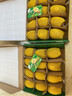 佳沛（zespri）意大利 阳光金奇异果12粒年货礼盒特大果单果约122-146g 猕猴桃 实拍图