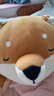 名创优品（MINISO）柴犬系列毛绒公仔趴姿玩具娃娃抱枕睡觉卧室办公室午睡枕生日礼物 实拍图