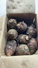探味君 广西荔浦大芋头 现挖粉糯大香芋 新鲜蔬菜 9斤净重8.5斤 中大芋（单果350g起） 实拍图
