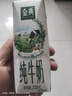 伊利【新鲜日期】金典纯牛奶整箱 250ml*16盒 3.6g乳蛋白 年货礼盒装 实拍图