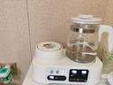 小壮熊恒温调奶器 恒温壶 婴儿暖奶温奶器恒温器 调热奶器 多功能二合一 实拍图