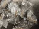 皇家麒麟 即食海参 即食大连刺参单个装辽刺参海参干货水产礼盒净含量500g 7A鲜食海参 13-19只/斤-性价比之王 一斤【尝鲜装】 实拍图