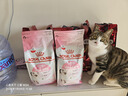 皇家幼猫猫粮 幼猫奶糕 K36 通用粮 4-12月 2KG 实拍图