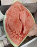 现摘现发2k西瓜当季手剥薄皮小糖丸西瓜新鲜水果冰糖子小西瓜 4-6斤（1-2个） 实拍图