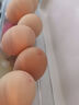1号会员店富硒鲜鸡蛋30枚 源头直发 净重3斤 实拍图