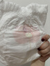 好奇（Huggies）铂金装小桃裤成长裤XL96片(12-17kg)加大号尿不湿【透爽散热】 实拍图