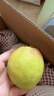 京鲜生 新疆库尔勒香梨 净重8斤 单果120g起 生鲜水果 礼盒装 包装随机 实拍图