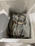 沃鲜汇 大虾海虾生鲜厄瓜多尔白虾南美对虾大青虾海鲜水产进口鲜活速冻 30/40规格（15-18cm） 1.65kg(净重)  盐冻款【净重3.3斤 只只分离】 实拍图