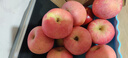 甜醉了 烟台苹果栖霞红富士新鲜水果生鲜山东特产脆甜整箱平果礼盒礼品 净重5斤75-80mm 实拍图