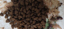 网易严选全价冻干双拼猫粮3.0 主粮成幼猫高鲜肉无谷护肠胃50g*2试吃试用  实拍图