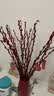 银柳真花鲜枝干花摆件室内客厅鲜花绿植新年年宵花卉植物过年春节 套装【60厘米20支+花瓶+送挂件】 实拍图