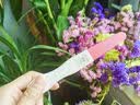 仁和HPV试纸 病毒染色试剂检测居家自检女男通用尿液样本自查筛查3盒 实拍图