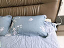 康尔馨枕芯 希尔顿100s五星级酒店羽绒枕A类95%白鹅绒枕头 单只 74*48cm 实拍图