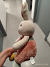 威尔通（WELTSTON）毛绒玩具布娃娃抱枕安抚玩偶儿童生日礼物礼品女生 小白兔子公仔 实拍图