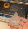 贝亲（Pigeon）自然离乳系列吸嘴 替换奶嘴 12月+ BA152 实拍图