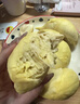 晨臻泰国进口金枕头榴莲鲜果新鲜水果 软糯香甜 精选净重2-3斤包2-3房 实拍图