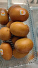 佳沛（zespri）意大利 阳光金奇异果12粒年货礼盒特大果单果约122-146g 猕猴桃 实拍图