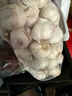 大蒜精装出口蒜出蔬菜水果调料牛肉生蚝小龙虾食材 出口标准网袋装箱 5斤 中果直径4cm 实拍图