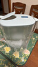 碧然德（BRITA）过滤净水器 家用滤水壶 Kalea 晨汐系列XL  3.5L（灰）+专家版滤芯5枚 环保加固包装 实拍图