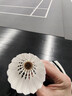 亚狮龙（RSL）羽毛球训练比赛稳定耐打鸭毛金冠C6号77速12只装/桶 实拍图