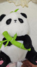 名创优品（MINISO）坐姿熊猫毛绒公仔毛绒玩具玩偶布娃娃抱枕送儿童女朋友生日礼物女 实拍图