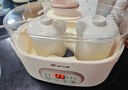 小熊（Bear）电炖锅 电炖盅隔水炖 炖汤盅电炖锅 煲汤锅炖汤锅 宝宝辅食煮粥锅熬粥燕窝炖盅1-2人DDZ-C10V1 1L 实拍图