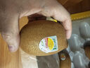 佳沛（zespri）意大利  阳光金奇异果巨大果22粒原箱 单果重约144-175g 猕猴桃 实拍图