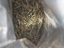 君山银针十大名茶湖南特产特级黄茶100g*2罐明前茶 实拍图