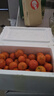 【产地直发】正宗广西金秋砂糖橘棉橘水果新鲜当地砂糖橘橘子新鲜 砂糖橘带箱3斤 实拍图