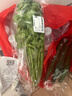 带根香菜100g 实拍图