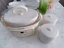 天际电炖锅 电炖盅 隔水炖锅 煲汤锅炖汤锅 婴儿辅食煮粥锅 养生燕窝炖盅 白瓷胆 DGGD23A183BBW 1.8L 实拍图