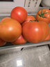 京鲜生 海阳普罗旺斯净重4.5斤单果180g起礼盒装 沙瓤西红柿 源头直发 实拍图