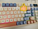 狼途（Langtu）L98星海98键 有线静音键盘 Gasket结构 RGB灯效 人体工学 实拍图