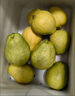 京觅福建奶油芭乐 单果150g起  净重3斤装番石榴 水果  源头直发包邮 实拍图