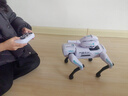 盈佳智能ai机器狗rc遥控车早教编程机器人儿童玩具男女孩生日新年礼物 实拍图