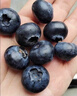 京鲜生 云南蓝莓当季 4盒大果18mm+装 净重125g/盒 生鲜水果 源头直发 实拍图