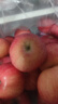 京鲜生 烟台红富士苹果 净重10斤  单果160g以上 水果礼盒 实拍图
