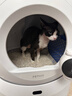 小佩AI智能全自动打包猫厕所ULTRA 可视猫砂盆一键换砂(支持鸿蒙智联) 实拍图