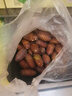 印禾年柞蚕蛹鲜活发货东北特产 新鲜茧蛹特级大黄蚕蛹黑蝉蛹活A级蚕蛹 25年新蛹 1000g A级大黄蛹（90只左右） 实拍图