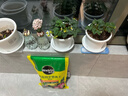美乐棵 通用营养土养花花肥种植土花土肥料种菜土盆栽绿植专用土壤8L 实拍图