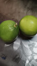 京鲜生 塔西提无籽柠檬 青柠檬 净重2斤 单果60g起 生鲜水果 实拍图