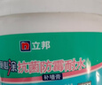 立邦补墙膏墙面修复防霉抗菌墙面修补膏堵洞腻子膏白色2.5kg 实拍图