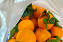京配 甄选正宗爱媛38号果冻橙 时令水果橘子新老包装随机发货 带箱9斤大果【70-80mm】净重8.5斤 JD京东快递【当天采摘当天发货】 实拍图